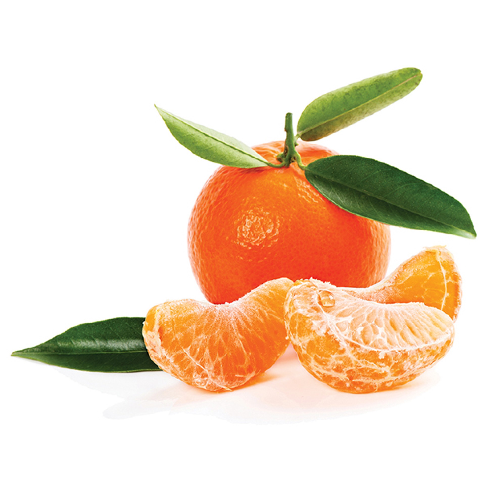 Satsuma